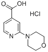 2-MORPHOLIN-4-YL-ISONICOTINIC ACID HYDROCHLORIDE CAS#: 848580-46-1