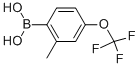 2-Methyl-4-(trifluoromethoxy)benzeneboronic acid CAS#: 850033-39-5