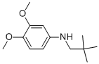 (2,2-DIMETHYLPROPYL)-(3,4-DIMETHOXY-PHENYL)-AMINE CAS#: 887588-12-7