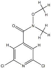 2,6-dichloro-N-methoxy-N-methylisonicotinamide CAS#: 848498-98-6