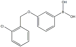 3-(2'-CHLOROBENZYLOXY)PHENYLBORONIC ACID CAS#: 845551-45-3