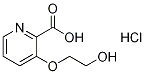 3-(2-hydroxyethoxy)-2-Pyridinecarboxylic acid (HCl salt) CAS#: 872045-03-9
