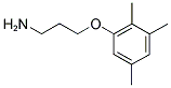 3-(2,3,5-TRIMETHYL-PHENOXY)-PROPYLAMINE CAS#: 852956-35-5
