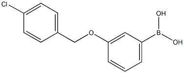 3-(4'-CHLOROBENZYLOXY)PHENYLBORONIC ACID CAS#: 870778-90-8