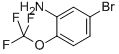 3-Amino-4-(trifluoromethoxy)BromoBenzene CAS#: 886762-08-9