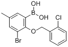 3-BROMO-2-(2'-CHLOROBENZYLOXY)-5-METHYL& CAS#: 849052-17-1