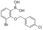3-BROMO-2-(4'-CHLOROBENZYLOXY)PHENYLBOR& CAS#: 849052-23-9