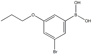 3-BROMO-5-PROPOXYPHENYLBORONIC ACID CAS#: 871126-27-1
