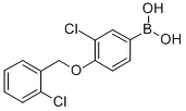 3-CHLORO-4-(2'-CHLOROBENZYLOXY)PHENYLBO& CAS#: 870777-26-7