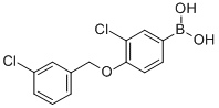 3-CHLORO-4-(3'-CHLOROBENZYLOXY)PHENYLBO& CAS#: 849062-26-6