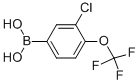 3-CHLORO-4-(TRIFLUOROMETHOXY)PHENYLBORONIC ACID CAS#: 870822-79-0