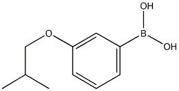 3-Isobutoxyphenylboronic acid CAS#: 849052-21-7