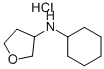 3-N-CYCLOHEXYL-TETRAHYDROFURAN-3-YL-AMINE HYDROCHLORIDE CAS#: 859522-09-1