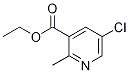 3-Pyridinecarboxylic acid, 5-chloro-2-Methyl-, ethyl ester CAS#: 868636-76-4
