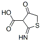 3-Thiophenecarboxylic acid, tetrahydro-2-imino-4-oxo- CAS#: 859492-46-9