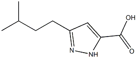 3-isopentyl-1H-pyrazole-5-carboxylic acid CAS#: 856256-86-5