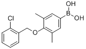 4-(2'-CHLOROBENZYLOXY)-3,5-DIMETHYLPHEN& CAS#: 849052-15-9