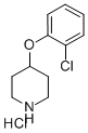 4-(2-CHLOROPHENOXY)PIPERIDINE HYDROCHLORIDE CAS#: 849107-20-6