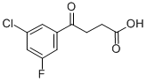 4-(3-CHLORO-5-FLUOROPHENYL)-4-OXOBUTYRIC ACID CAS#: 845790-47-8