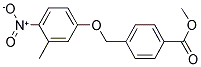 4-(3-METHYL-4-NITRO-PHENOXYMETHYL)-BENZOIC ACID METHYL ESTER CAS#: 832740-32-6