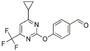 4-(4-CYCLOPROPYL-6-TRIFLUOROMETHYL-PYRIMIDIN-2-YLOXY)-BENZALDEHYDE CAS#: 861412-92-2