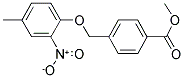 4-(4-METHYL-2-NITRO-PHENOXYMETHYL)-BENZOIC ACID METHYL ESTER CAS#: 832740-11-1