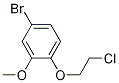 4-BROMO-1-(2-CHLOROETHOXY)-2-METHOXYBENZENE CAS#: 877399-30-9