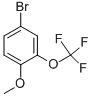 4-BROMO-2-(TRIFLUOROMETHOXY)ANISOLE CAS#: 853771-88-7