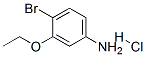4-BROMO-3-ETHOXYANILINE HYDROCHLORIDE CAS#: 846023-33-4