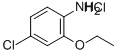 4-CHLORO-2-ETHOXYANILINE, HCL CAS#: 858855-49-9