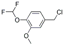 4-(CHLOROMETHYL)-1-(DIFLUOROMETHOXY)-2-METHOXYBENZENE CAS#: 852706-06-0