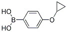 4-CYCLOPROPOXYPHENYLBORONIC ACID CAS#: 871829-90-2