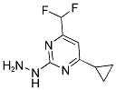 (4-CYCLOPROPYL-6-DIFLUOROMETHYL-PYRIMIDIN-2-YL)-HYDRAZINE CAS#: 869943-10-2