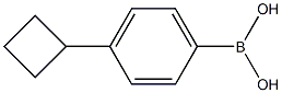 (4-Cyclobutylphenyl)boronic acid CAS#: 845797-74-2