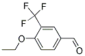 4-ETHOXY-3-(TRIFLUOROMETHYL)BENZALDEHYDE CAS#: 883541-11-5