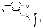 4-METHOXY-3-(2,2,2-TRIFLUORO-ETHOXYMETHYL)-BENZALDEHYDE CAS#: 834913-89-2