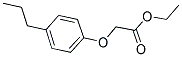 (4-PROPYL-PHENOXY)-ACETIC ACID ETHYL ESTER CAS#: 832740-24-6