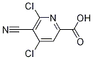 4,6-dichloro-5-cyanopicolinic acid CAS#: 861545-83-7