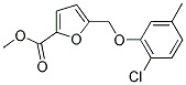 5-(2-CHLORO-5-METHYL-PHENOXYMETHYL)-FURAN-2-CARBOXYLIC ACID METHYL ESTER CAS#: 832740-67-7