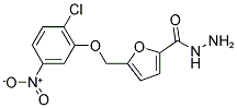 5-(2-CHLORO-5-NITRO-PHENOXYMETHYL)-FURAN-2-CARBOXYLIC ACID HYDRAZIDE CAS#: 832739-50-1