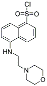 5-(2-MORPHOLIN-4-YL-ETHYLAMINO)-NAPHTHALENE-1-SULFONYL CHLORIDE CAS#: 817172-40-0