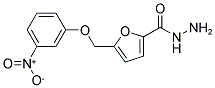 5-(3-NITRO-PHENOXYMETHYL)-FURAN-2-CARBOXYLIC ACID HYDRAZIDE CAS#: 886496-17-9