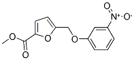 5-(3-NITRO-PHENOXYMETHYL)-FURAN-2-CARBOXYLIC ACID METHYL ESTER CAS#: 832740-50-8