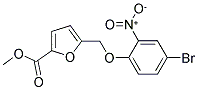 5-(4-BROMO-2-NITRO-PHENOXYMETHYL)-FURAN-2-CARBOXYLIC ACID METHYL ESTER CAS#: 832738-22-4