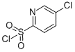 5-CHLORO-PYRIDINE-2-SULFONYL CHLORIDE CAS#: 885277-08-7