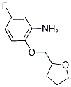 5-FLUORO-2-(TETRAHYDRO-FURAN-2-YLMETHOXY)-PHENYLAMINE CAS#: 869944-74-1
