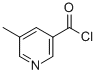 5-METHYLNICOTINOYL CHLORIDE CAS#: 884494-95-5