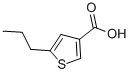 5-PROPYL-THIOPHENE-3-CARBOXYLIC ACID CAS#: 883546-51-8