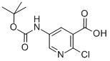 5-TERT-BUTOXYCARBONYLAMINO-2-CHLORO-NICOTINIC ACID CAS#: 885277-14-5