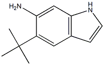 5-(tert-butyl)-1H-indol-6-aMine CAS#: 873055-31-3